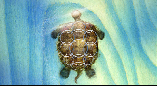 Turtle holding all the Nations